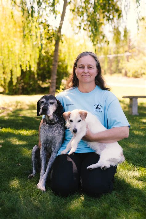 pend oreille pet lodge|ponderay vet clinic sandpoint.